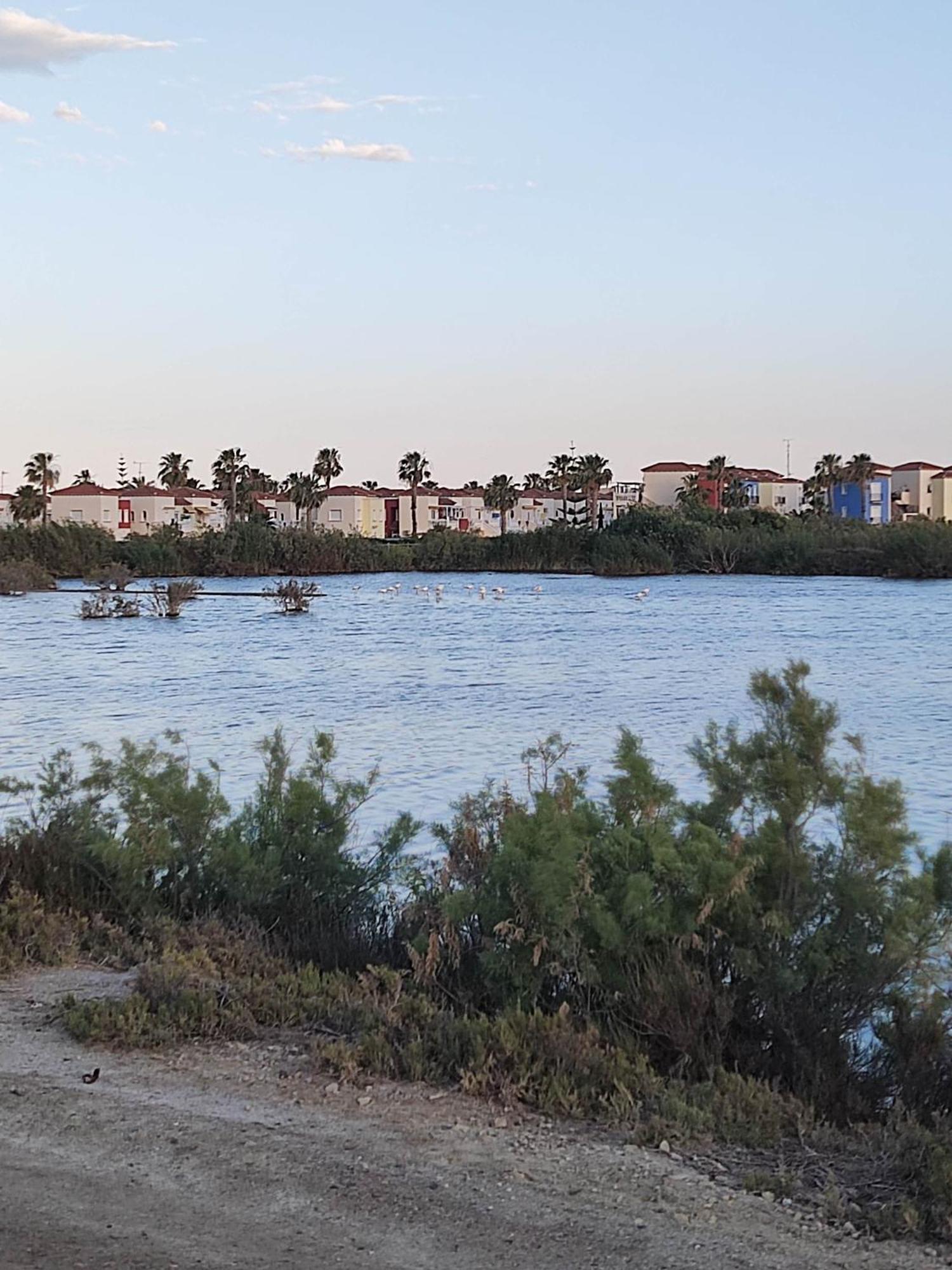 El Mirador De Torremari - Nudista - Vera Playa المظهر الخارجي الصورة